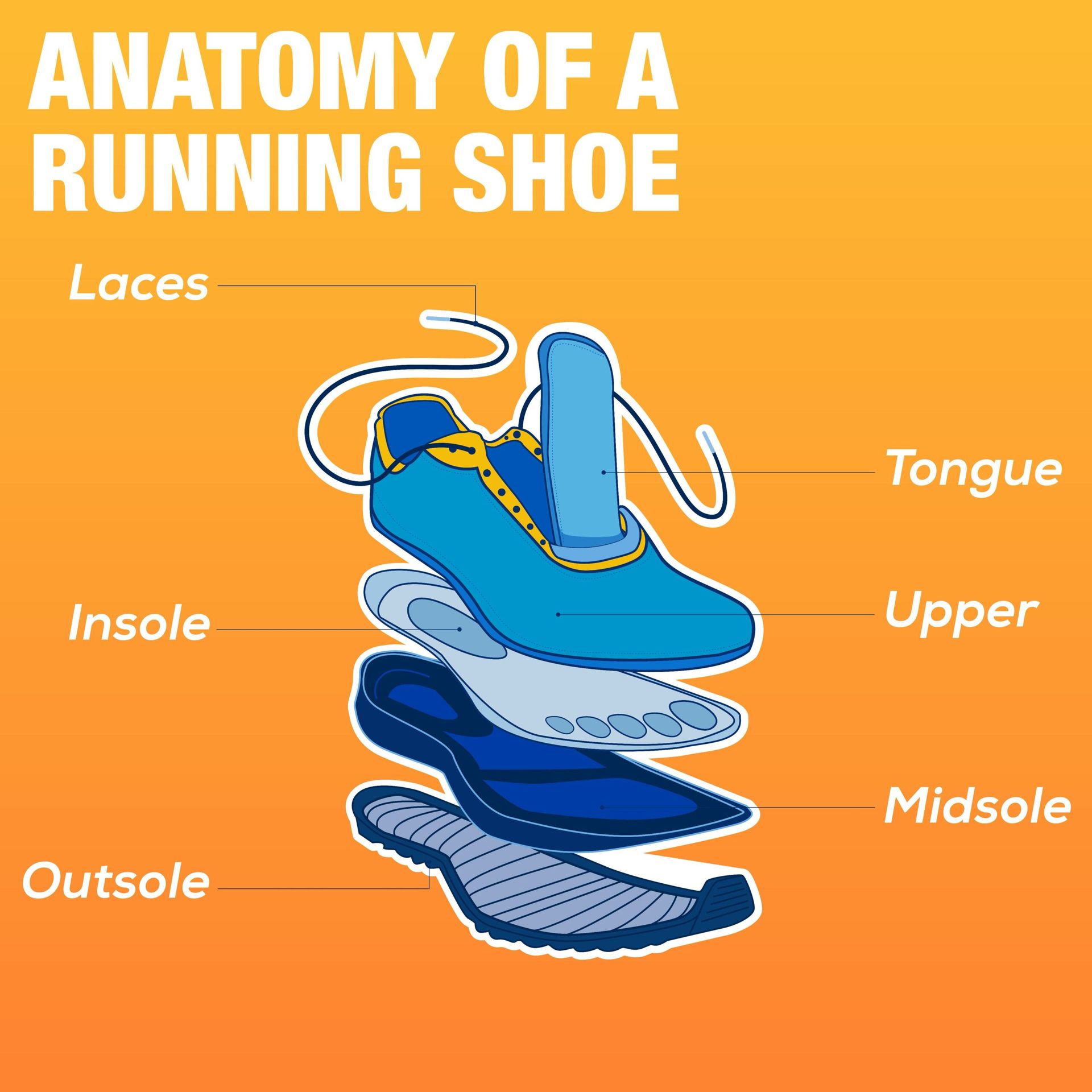 Your footwear makes all the difference when going for a run. Here are the key features you need to pay attention to when buying a new pair of running shoes.