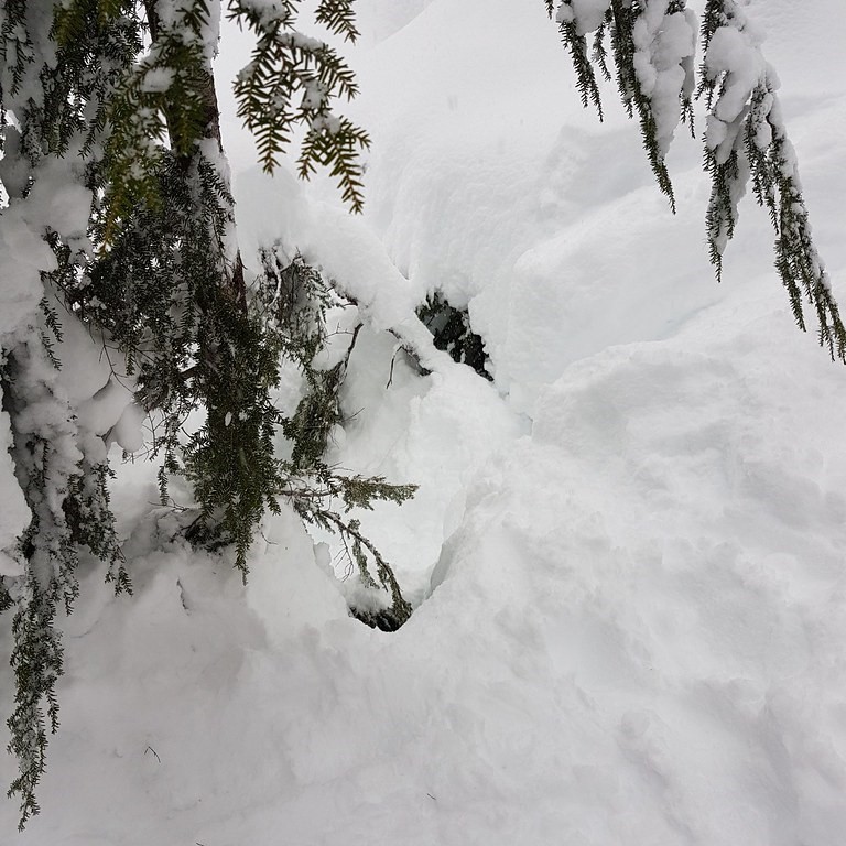 Tree wells can be extremely dangerous for skiers and snowboarders.