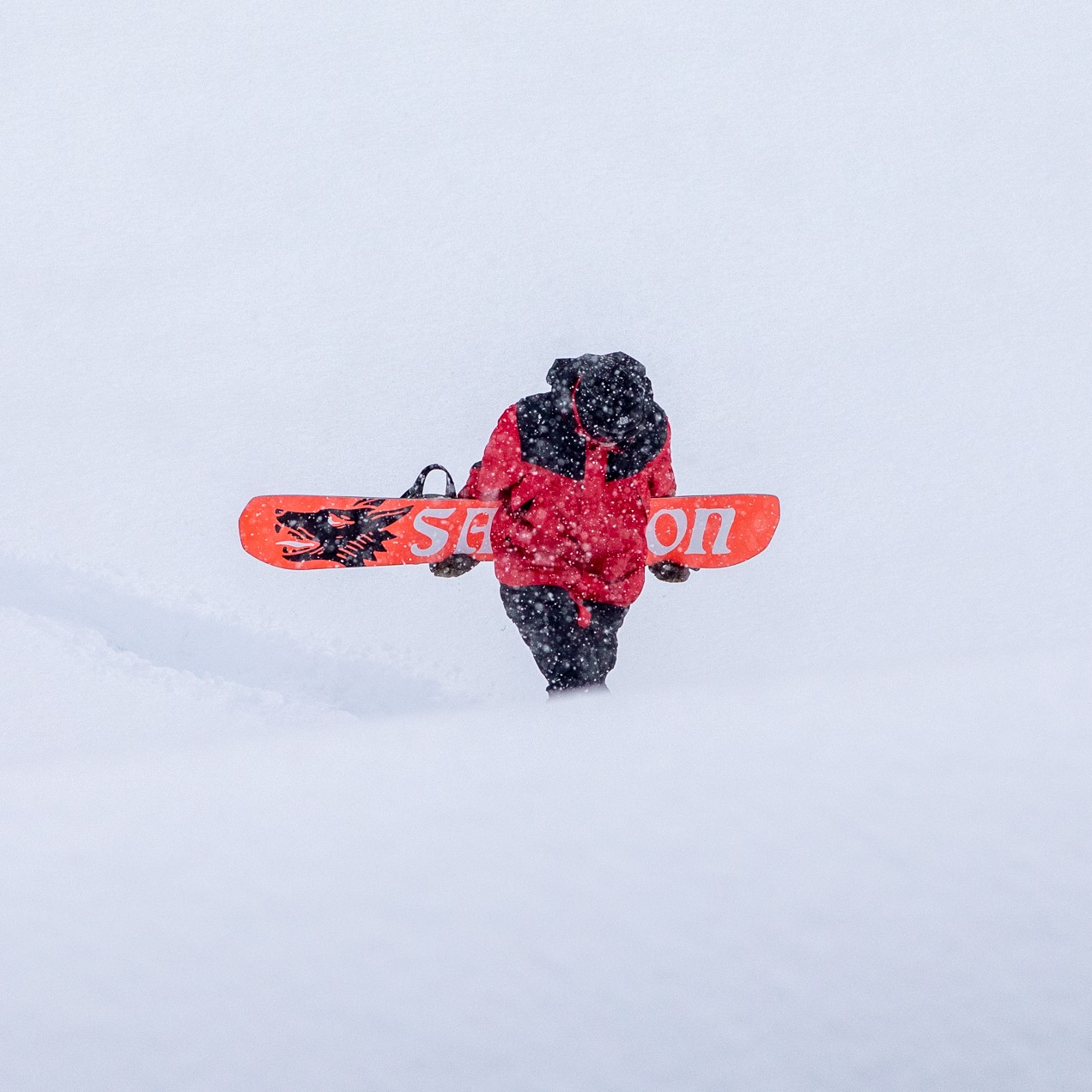 Salomon's sustainable, green initiative is revolutionary.