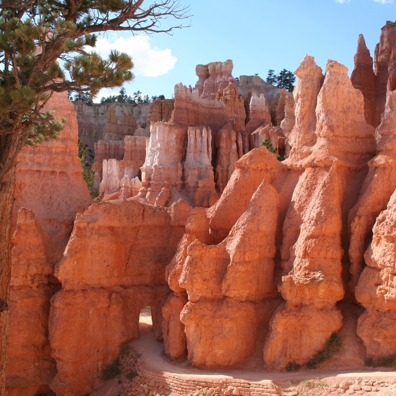 Queens Garden Trail has a variety of hoodoos - AKA, those tall, thin spires of rock.