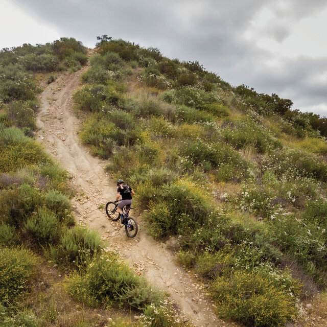 Go where you've never gone before on a Haro Mountain Bike.
