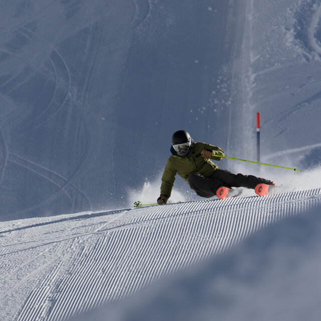 Perfect groomers.