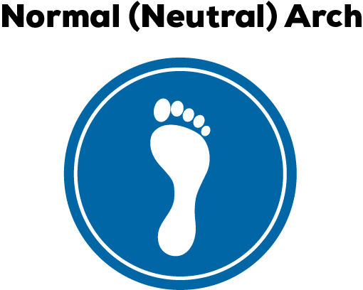 A depiction of a normal or neutral arch type.