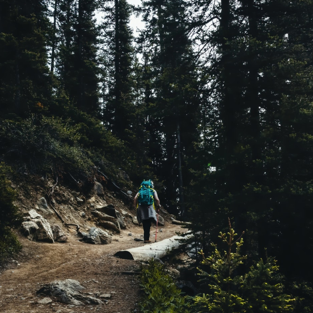 Person hiking down a heavily forested trail with a teal hiking backpack.