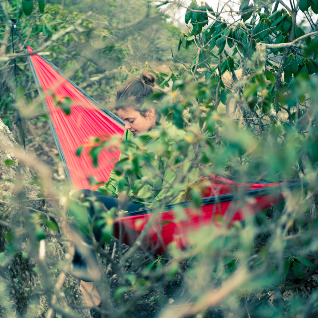 A woman sitting in a red camping hammock in the woods. Foliage in the immediate foreground adds dappled green patterns to the image.