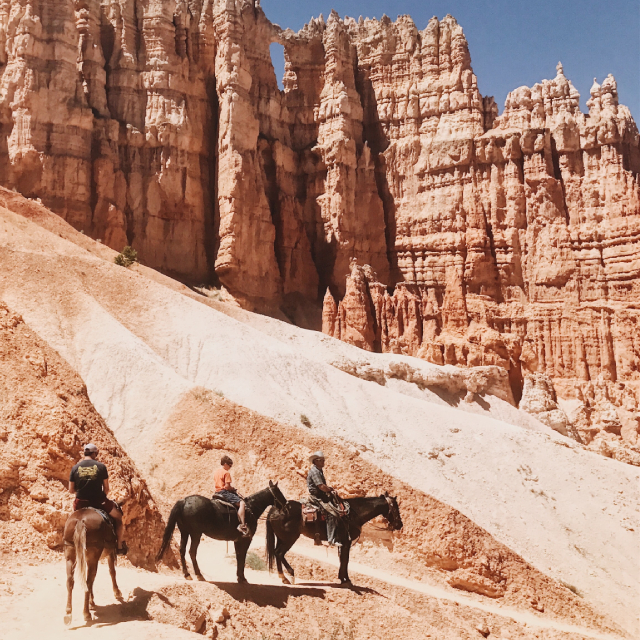 Three horseback riders standing on a trail with towering rock formations in the background.
