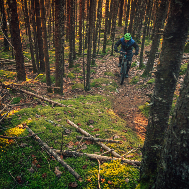 Mountain biker pedaling on an intense forest trail.