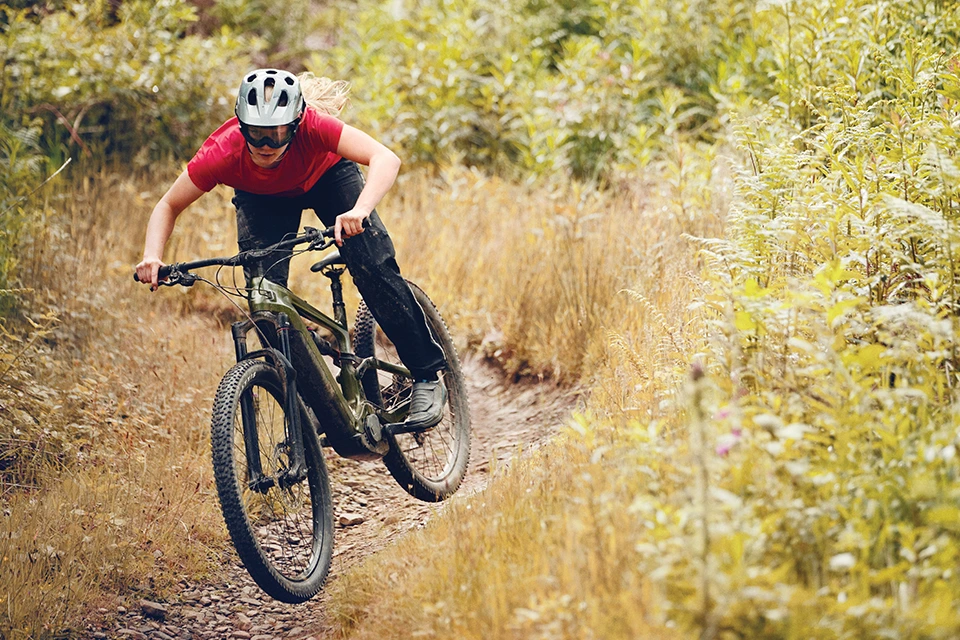 Downhill E-bike