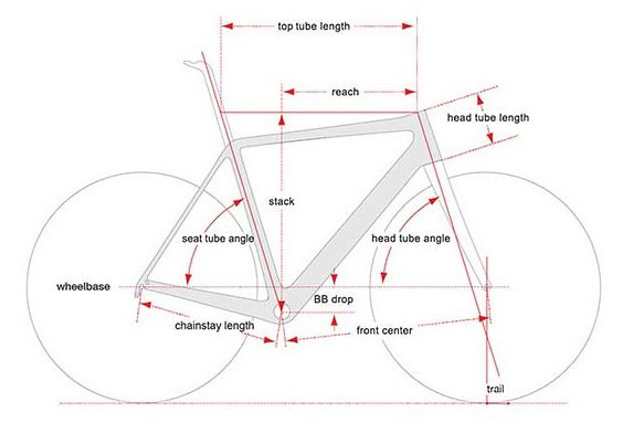 Your bike's geometry plays a key role in your overall fit.