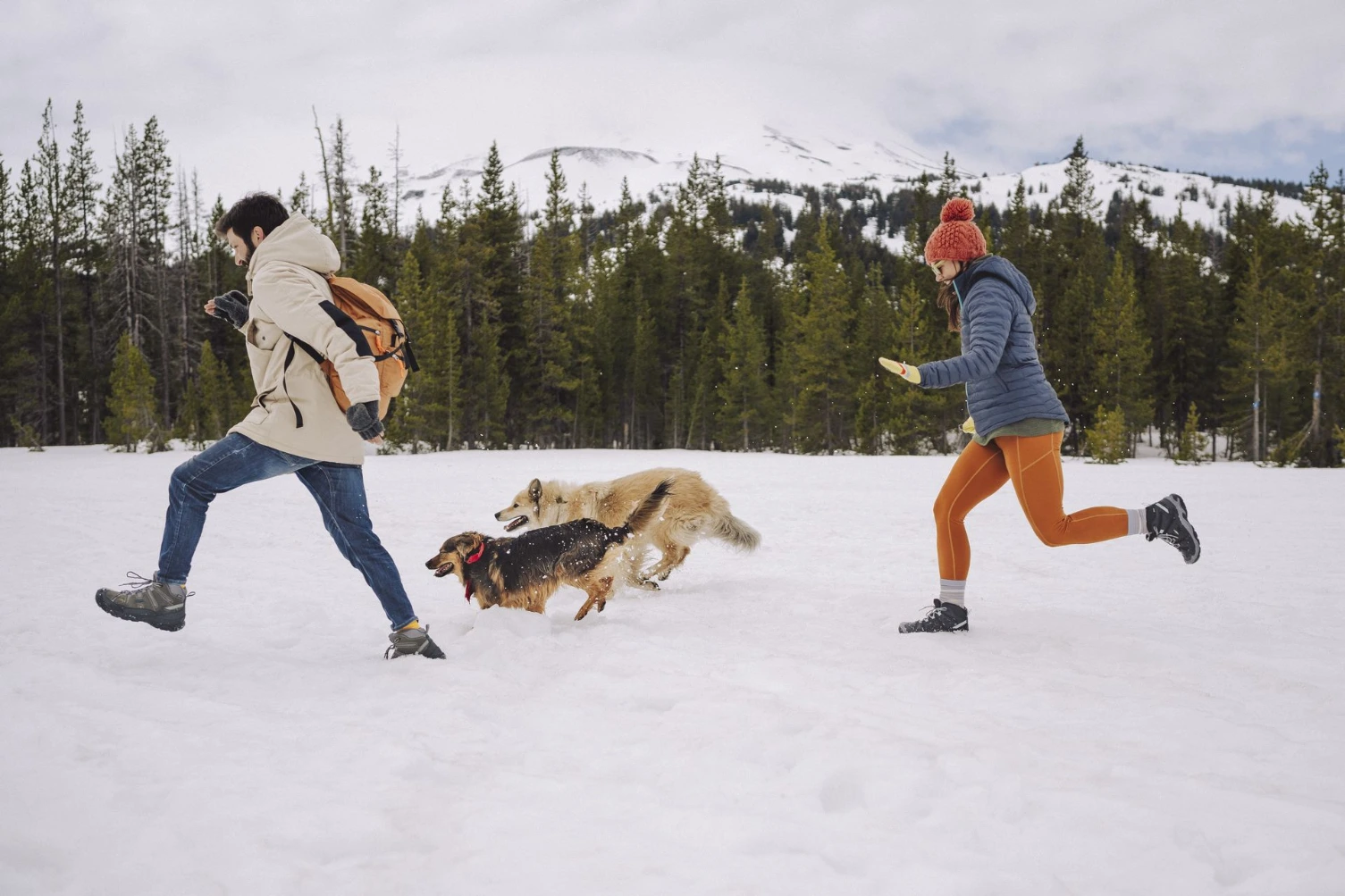 people playing in snow with dog