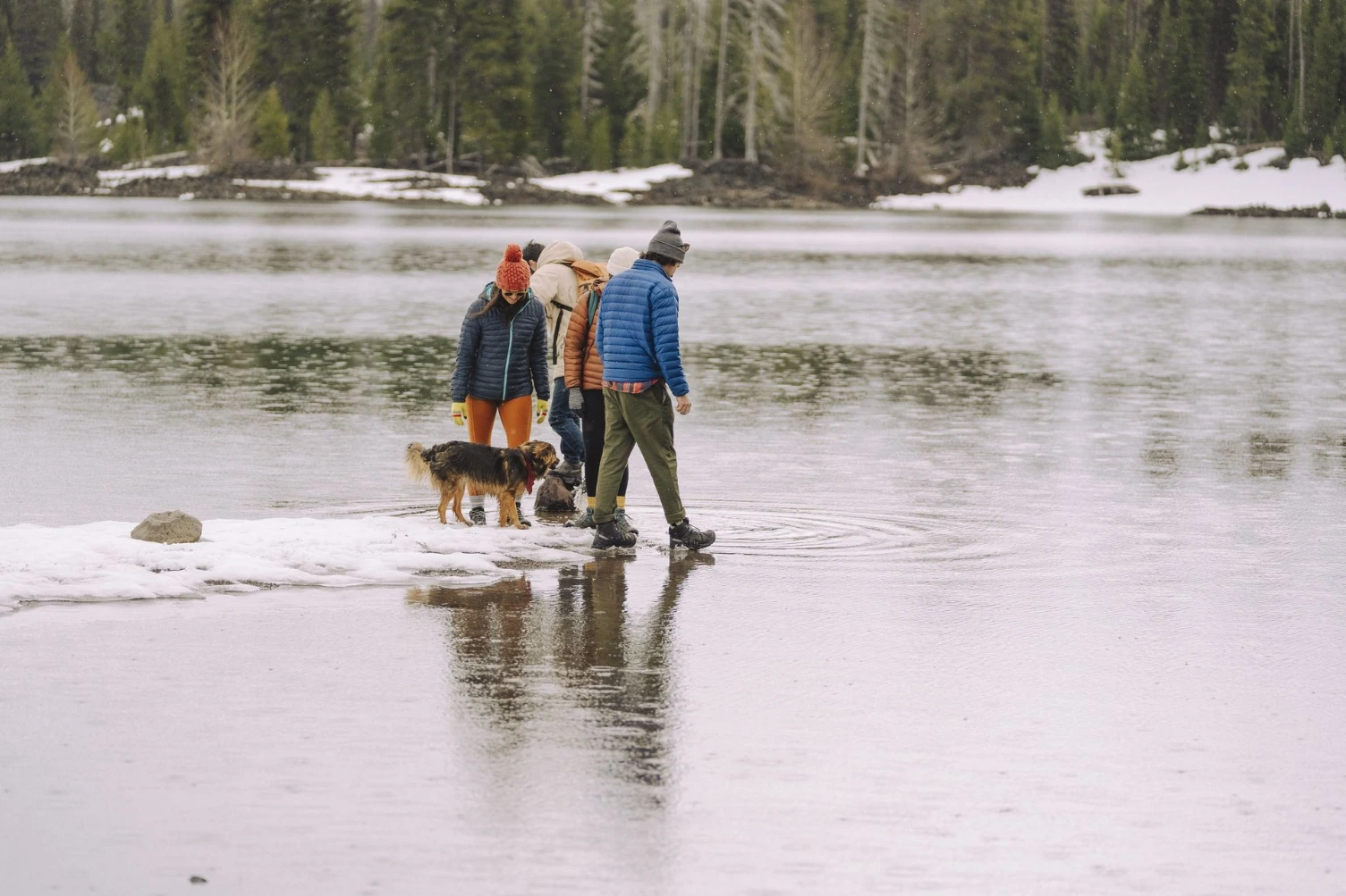 people crossing creek with dog