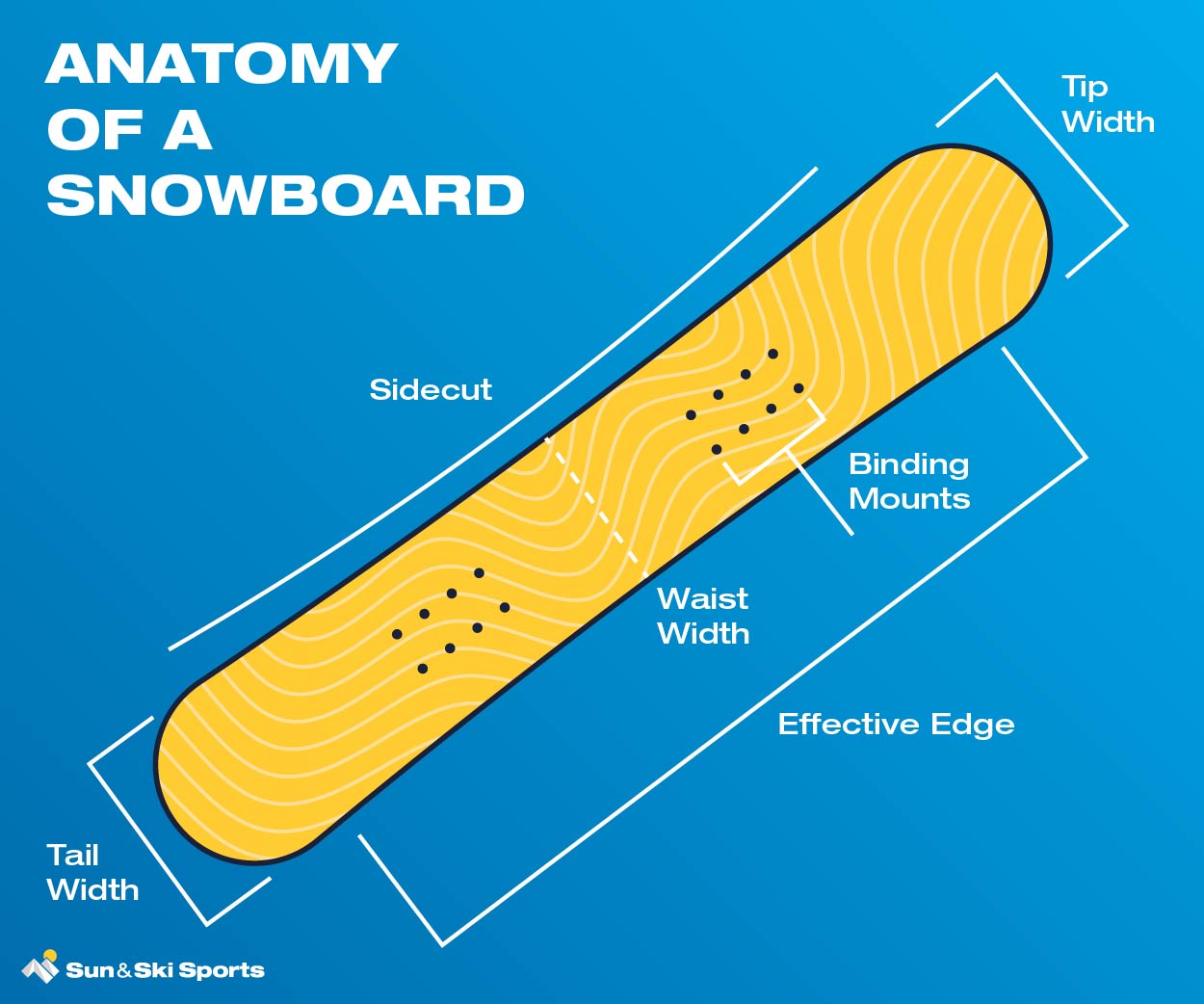 Anatomy of A Snowboard