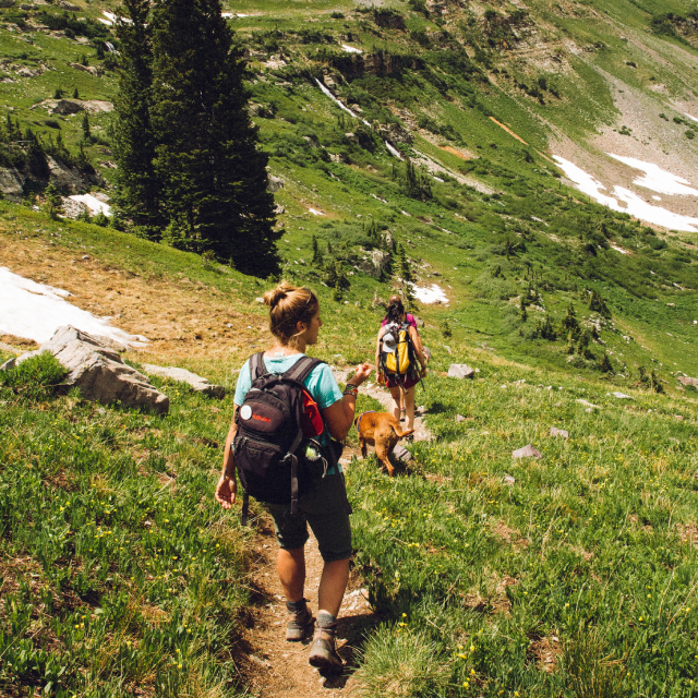 Backpackers hiking down a hill with a tan dog.