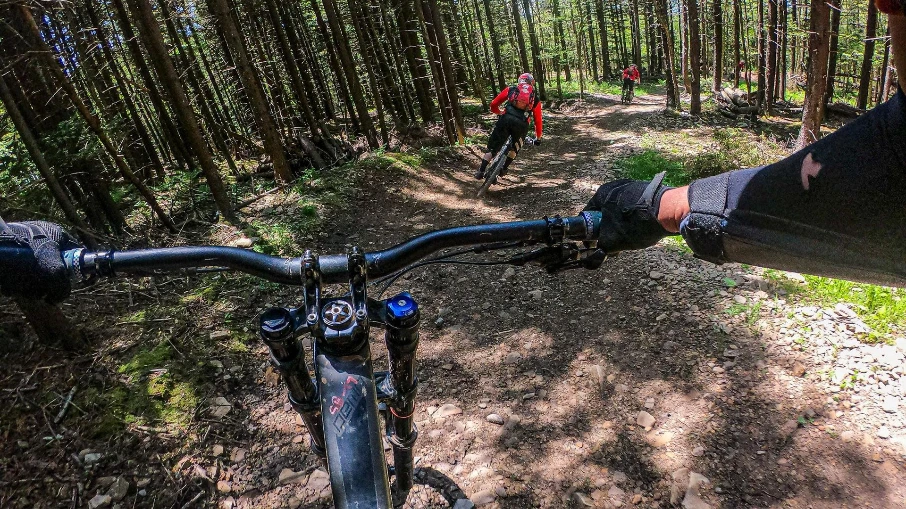 Two cyclists riding through wooded bike trail