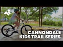 youtube - [Video]