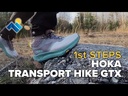 youtube - [Video]