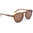 Optic Nerve RiNO Sunglasses