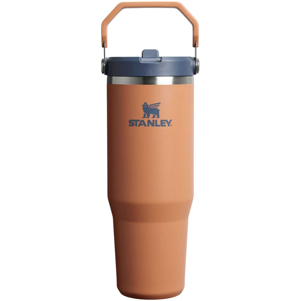 Stanley IceFlow Flip Straw Tumbler 2.0 30 OZ