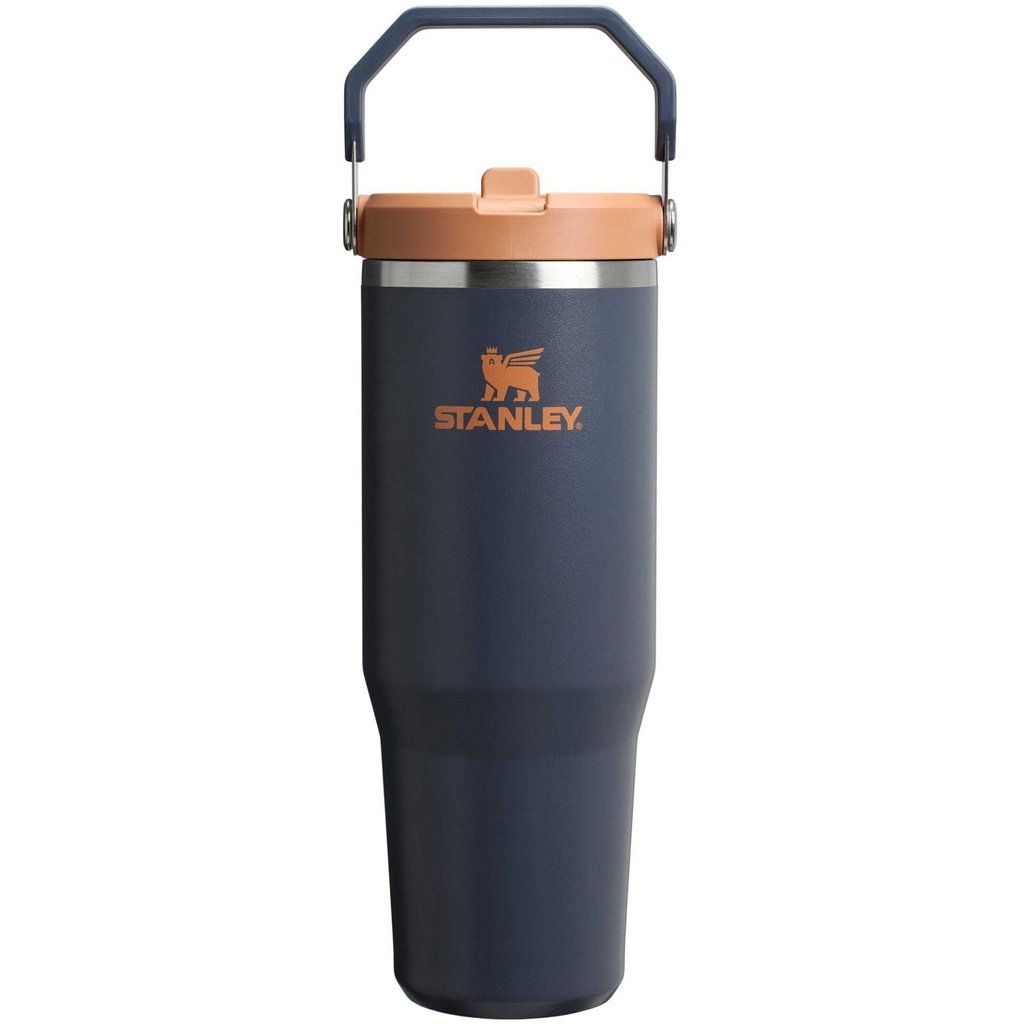 Stanley IceFlow Flip Straw Tumbler 2.0 30 OZ