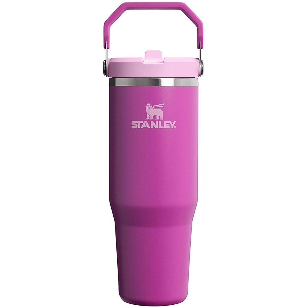 Stanley IceFlow Flip Straw Tumbler 2.0 30 OZ