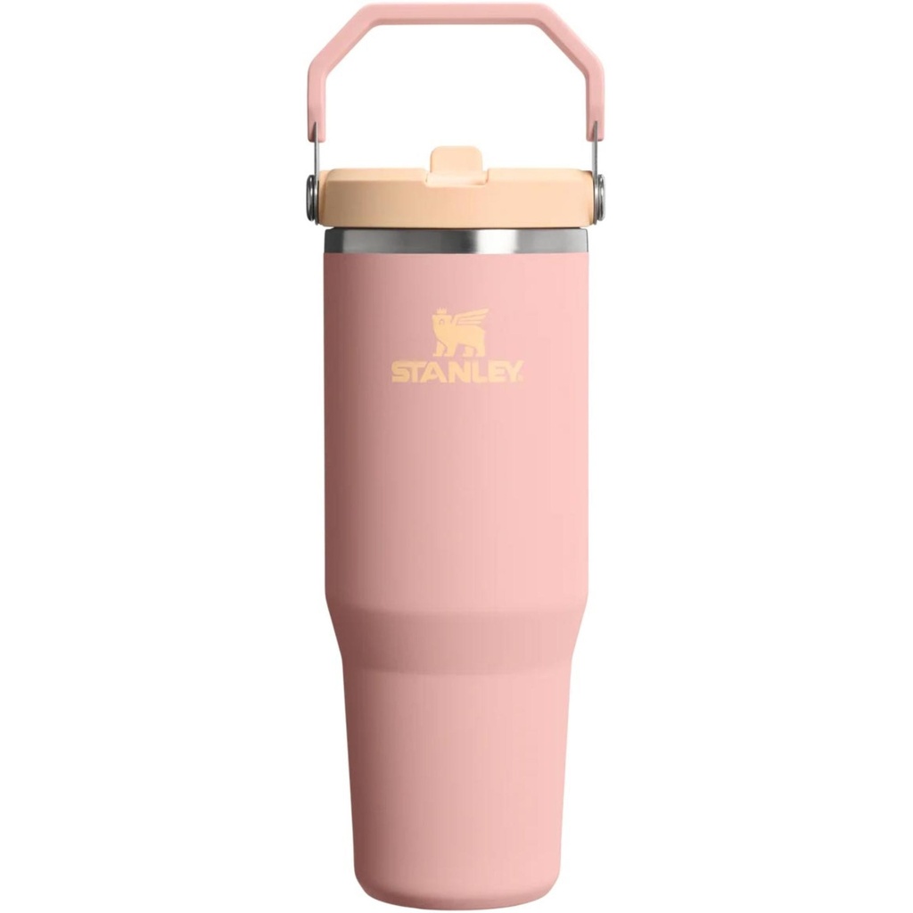Stanley IceFlow Flip Straw Tumbler 2.0 30 OZ