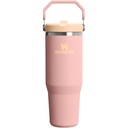 Stanley IceFlow Flip Straw Tumbler 2.0 30 OZ