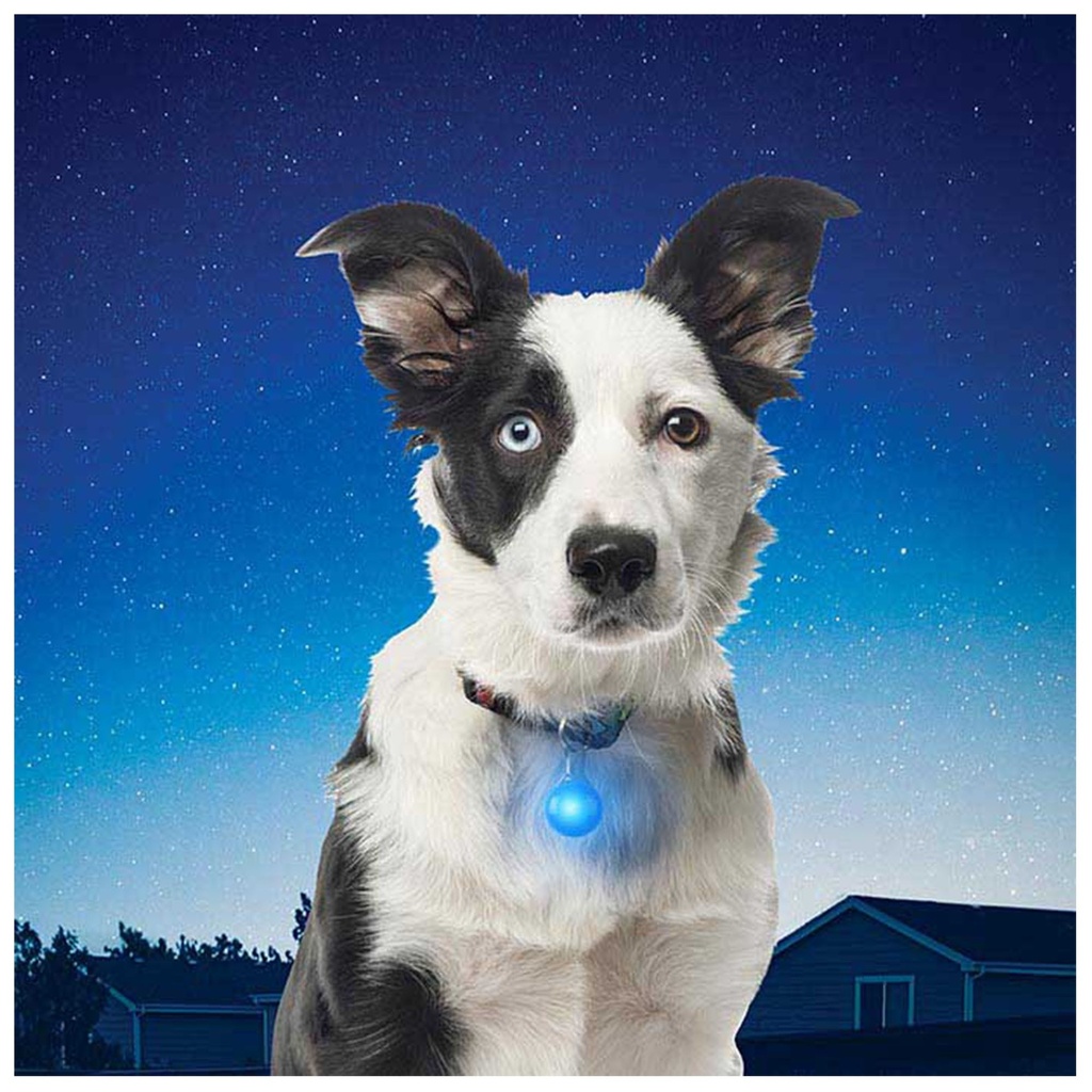 Nite Ize Pet Spotlit Collar Light