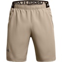 Under Armour Men's Vanish Woven 8 in Shorts