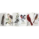 Field Notes Field Notes Birds and Trees of North America - Series C