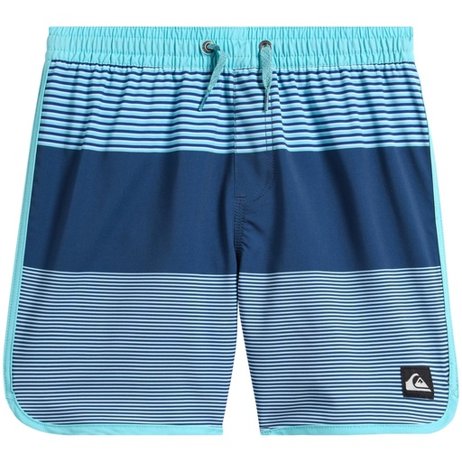 Quiksilver Boys' Surfsilk Tijuana Volleyball Shorts