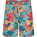 Quiksilver Boys' Surfsilk Mix Volleyball Shorts