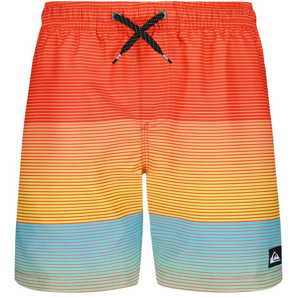 Quiksilver Boys' Everyday Mix Volley Swim Trunks