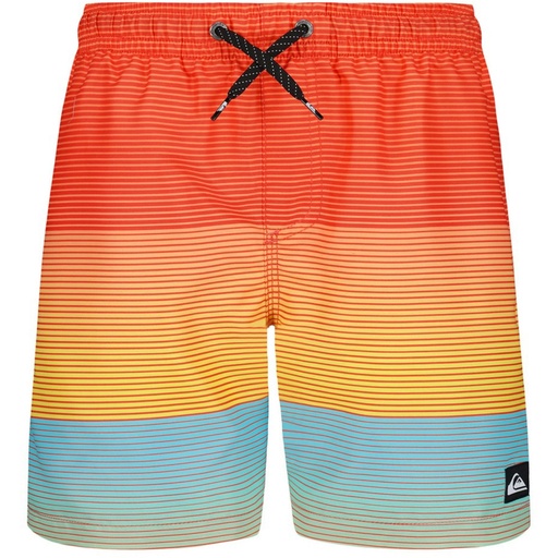 Quiksilver Boys' Everyday Mix Volley Swim Trunks