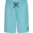 Quiksilver Boys' Everyday Volley Lined Swim Trunks