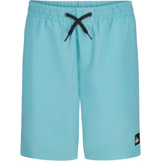 Quiksilver Boys' Everyday Volley Lined Swim Trunks