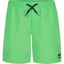 Quiksilver Boys' Everyday Volley Lined Swim Trunks
