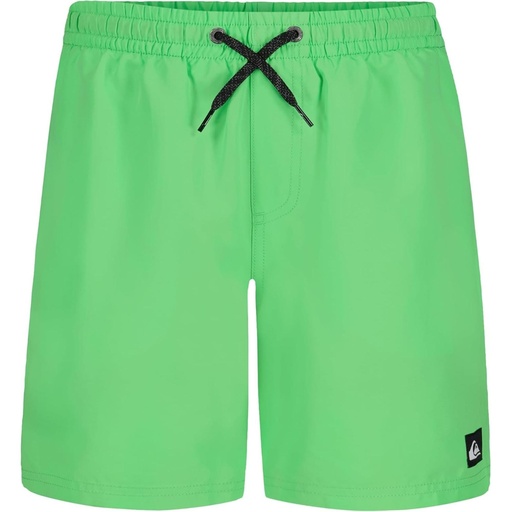 Quiksilver Boys' Everyday Volley Lined Swim Trunks