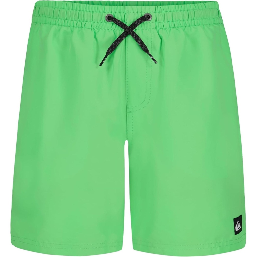 Quiksilver Boys' Everyday Volley Lined Swim Trunks