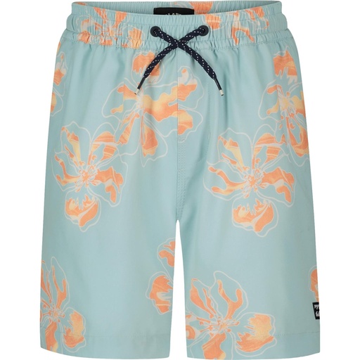 Billabong Boys' Sundays Layback Volley Swim Trunks
