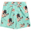 Billabong Boys' Lineup Layback Volley Swim Trunks