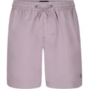 Billabong Boys' All Day Layback Volley Swim Trunks