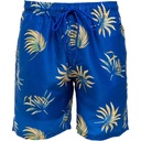 Island Fever Men's Mesh Lined Swim Trunks