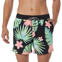 Party Pants Men's Miami Vibes 2 in 1 Boardshorts