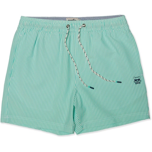 Party Pants Men's Striped Party Starter 5 in Lined Swim Trunks