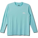 Quiksilver Men's Everyday Long Sleeve Surf T-Shirt