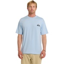 Quiksilver Men's Everyday Short Sleeve Surf T-Shirt