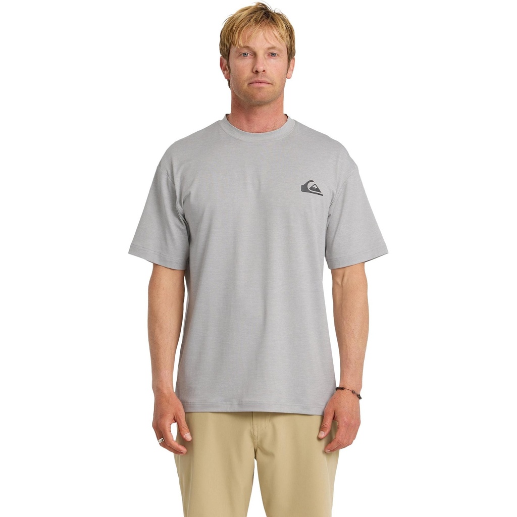 Quiksilver Men's Everyday Short Sleeve Surf T-Shirt