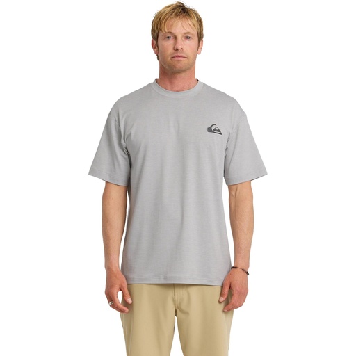 Quiksilver Men's Everyday Short Sleeve Surf T-Shirt