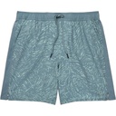 Free Fly Men's Palmera Swim Trunks