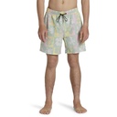 Billabong Men's Good Times Layback Boardshorts